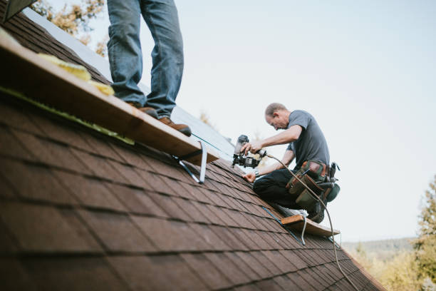 Best Roof Gutter Cleaning  in Byron, MN